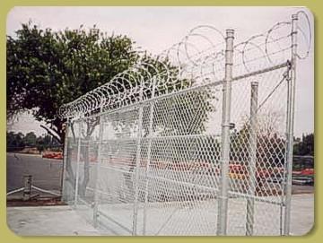 Razor wire deals fence for sale