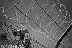 What Factors Should You Consider Before Buying Concertina Wire for Security Purposes?