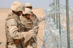 What Should You Know Before You Buy Concertina Wire for High-Security Fencing Applications?
